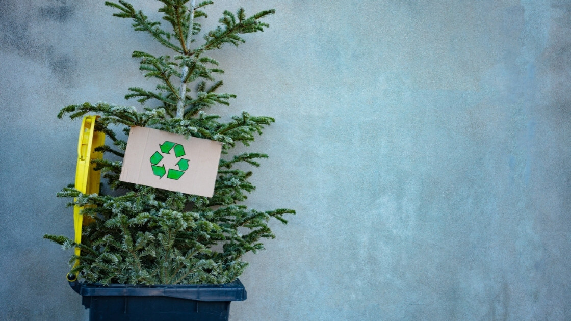 Comment recycler son sapin de Noël Mes 10 astuces pratiques