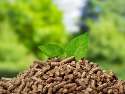 pourquoi biomasse est energie renouvelable